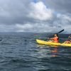 Kayaka Samana Kayaking Cayo Levantado day Trip Bacardi island Kayaks 2