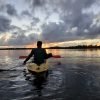 Los Haitises Excursion Kayak Tour in Kayaks los haitises cano hondo 24 scaled 1