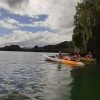 Los Haitises Excursion Kayak Tour in Kayaks los haitises cano hondo 3 scaled 1