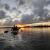 Los Haitises Excursion Kayak Tour in Kayaks los haitises cano hondo 30 scaled 1