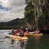Los Haitises Excursion Kayak Tour in Kayaks los haitises cano hondo 4 scaled 1