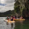 Los Haitises Excursion Kayak Tour in Kayaks los haitises cano hondo 5 scaled 1