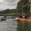 Los Haitises Excursion Kayak Tour in Kayaks los haitises cano hondo 6 scaled 1