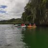 Los Haitises Excursion Kayak Tour in Kayaks los haitises cano hondo 8 scaled 1