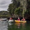 Los Haitises Excursion Kayak Tour in Kayaks los haitises cano hondo 9 scaled 1